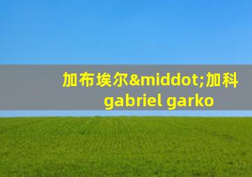 加布埃尔·加科 gabriel garko